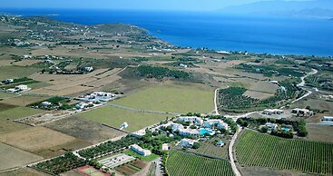 Hotel Asteras Paradise