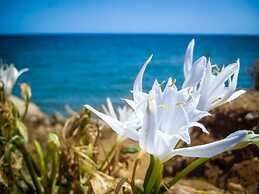 Hotel Castello di Tavolara