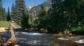 The Evergreens On Fall River