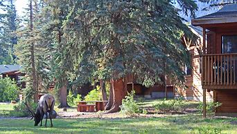 The Evergreens On Fall River