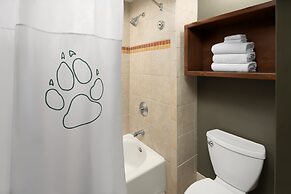 Great Wolf Lodge Grand Mound