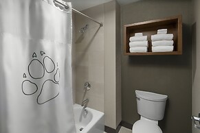 Great Wolf Lodge Grand Mound