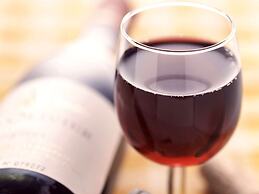 ibis Sao Paulo Morumbi