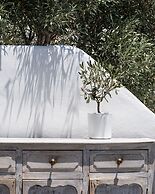 Andronis Luxury Suites