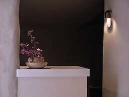 Andronis Luxury Suites