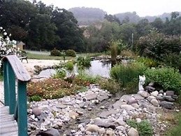 Berry Patch Bed and Breakfast