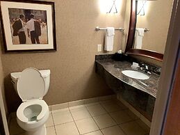 Hilton Garden Inn Columbus/Edinburgh
