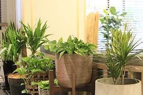 Quintessa Hotel Kagoshima Tenmonkan Relax&Sleep