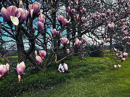 Plas Dinas Country House