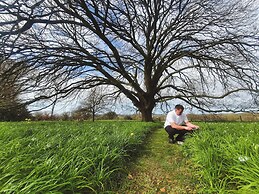 Plas Dinas Country House