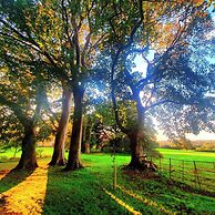 Plas Dinas Country House