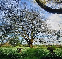 Plas Dinas Country House