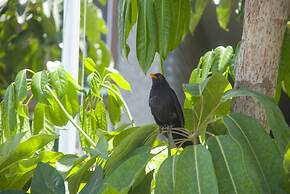 Apartamentos El Paseo