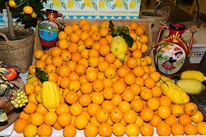 Hotel Olimpo Le Terrazze