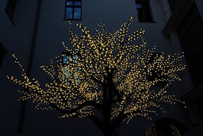 Hotel Saski Krakow, Curio Collection by Hilton