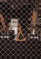 Hotel Saski Krakow, Curio Collection by Hilton