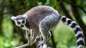 Holiday Inn Reading West by IHG