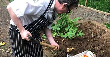 Brown Trout Golf & Country Inn