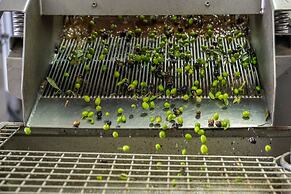 Agriturismo Vecchio Borgo di Inalbi