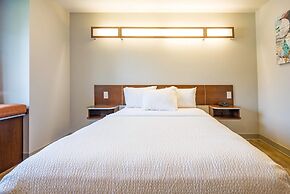 Microtel Inn & Suites by Wyndham Cheyenne
