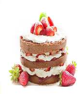 Loch Ness Drumnadrochit Hotel