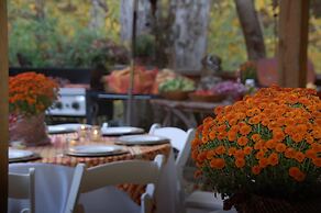 Creekwalk Inn and Cabins