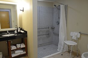 Comfort Suites Salem-Roanoke I-81