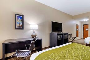 Comfort Inn & Suites Montgomery Eastchase