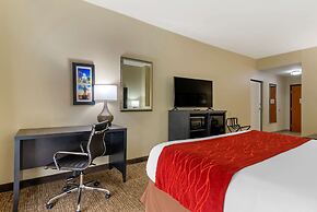 Comfort Inn & Suites Montgomery Eastchase