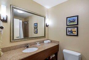 Comfort Inn & Suites Montgomery Eastchase