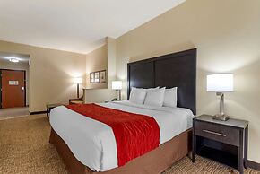 Comfort Inn & Suites Montgomery Eastchase
