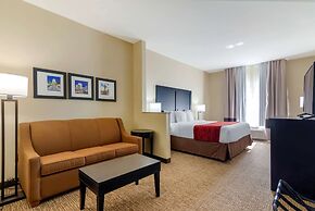 Comfort Inn & Suites Montgomery Eastchase