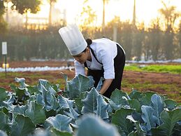 Novotel Hyderabad Airport Hotel