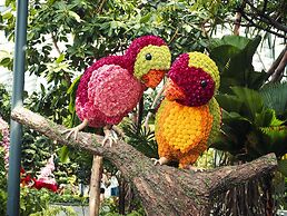 Crowne Plaza Changi Airport by IHG