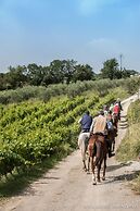 Agriturismo Palazzo Bandino