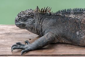 Blu Galapagos Sustainable Waterfront Lodge