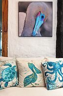 Blu Galapagos Sustainable Waterfront Lodge