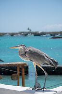 Blu Galapagos Sustainable Waterfront Lodge