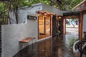 Blu Galapagos Sustainable Waterfront Lodge