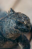 Blu Galapagos Sustainable Waterfront Lodge