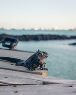 Blu Galapagos Sustainable Waterfront Lodge