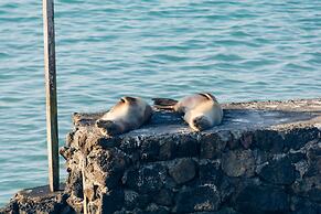 Blu Galapagos Sustainable Waterfront Lodge
