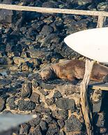 Blu Galapagos Sustainable Waterfront Lodge