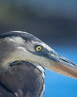 Blu Galapagos Sustainable Waterfront Lodge
