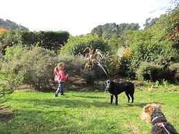 The Stanford Inn By The Sea Eco-Resort