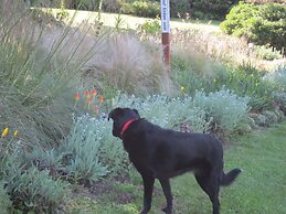 The Stanford Inn By The Sea Eco-Resort