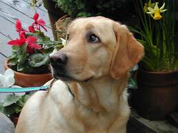 The Stanford Inn By The Sea Eco-Resort