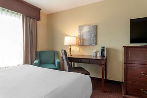 Best Western Plus Fredericton Hotel & Suites