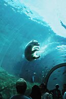 Hilton Columbus/Polaris