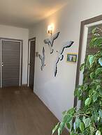 Hotel Cairoli